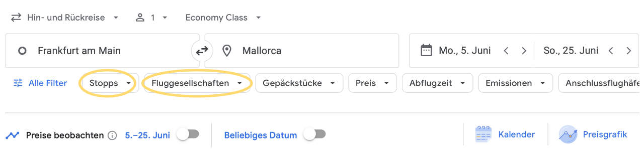 Google Flights Suche