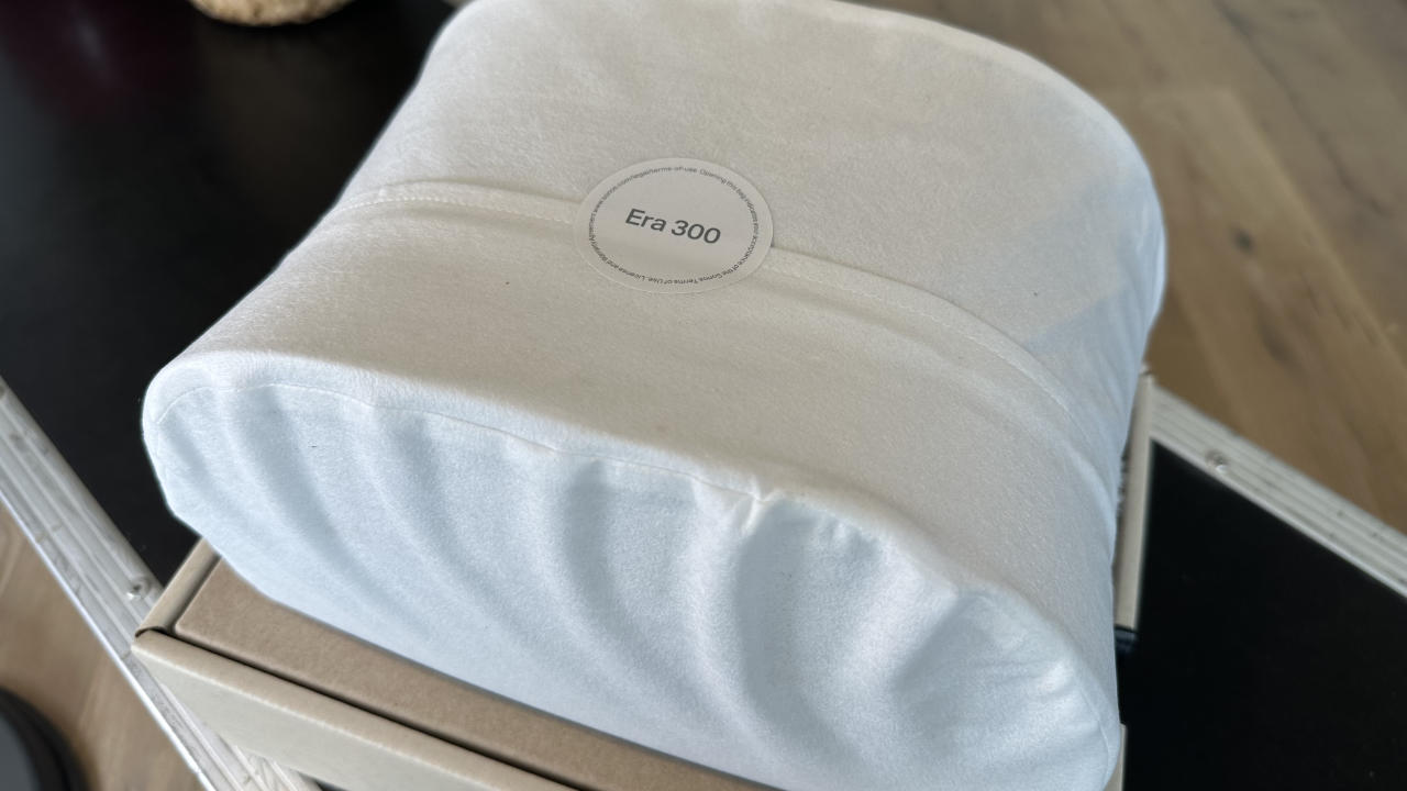 Sonos Era 300 Verpackung