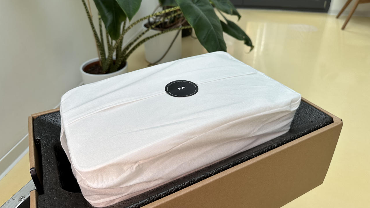 Sonos Five Verpackung