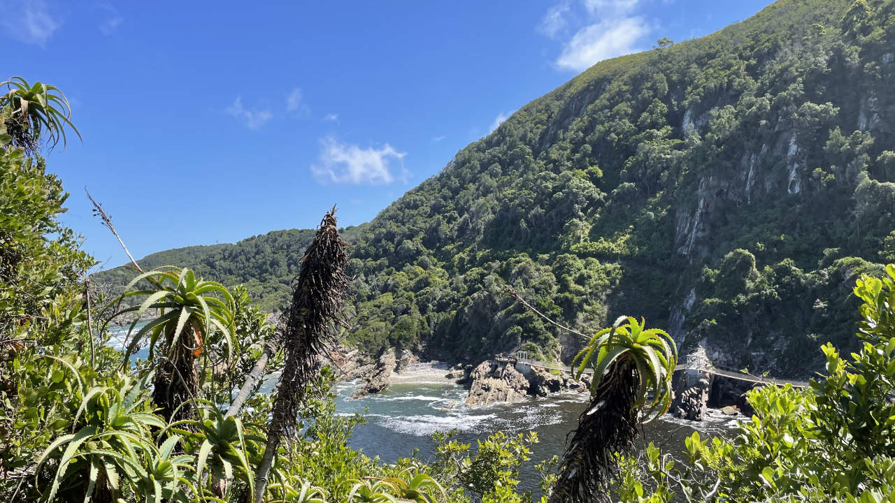 Tsitsikamma National Park Wandern Garden Route